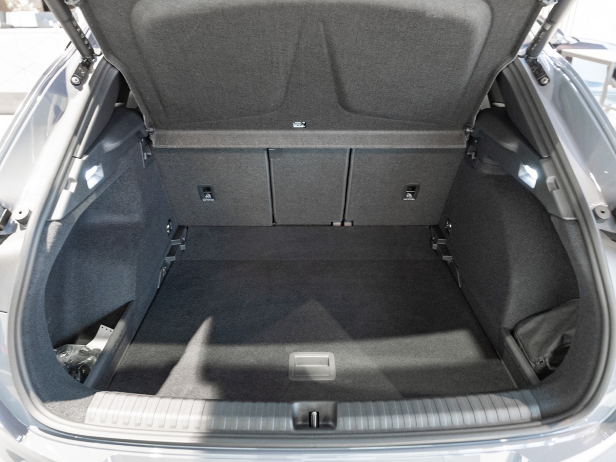 Cupra - Terramar VZ 2.0 TSI 265 PS ACC 360 Grad Kam Pano_24
