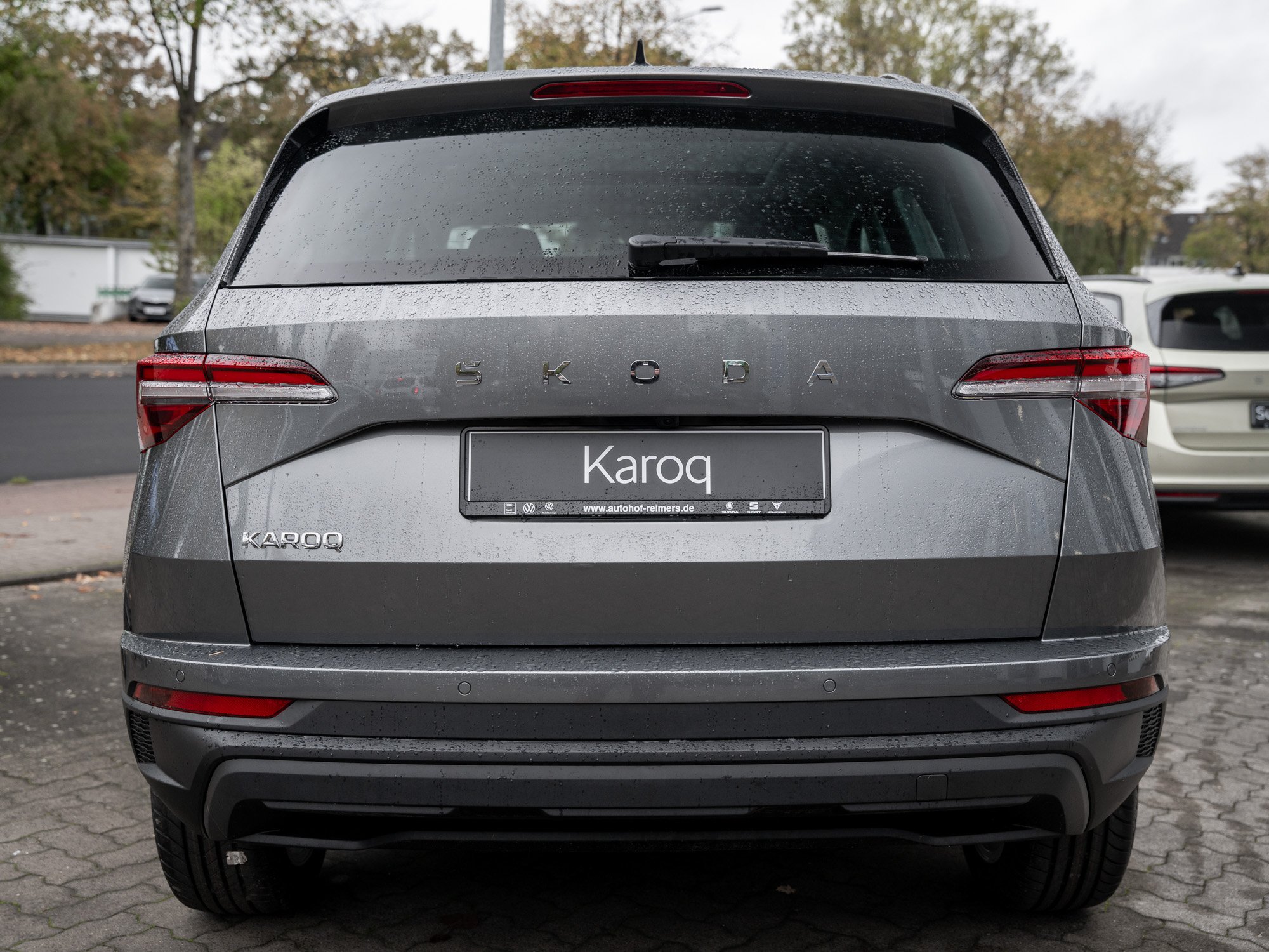 Skoda - Karoq Tour 2.0 TDI DSG ACC Pano SpurH LED AHK_27
