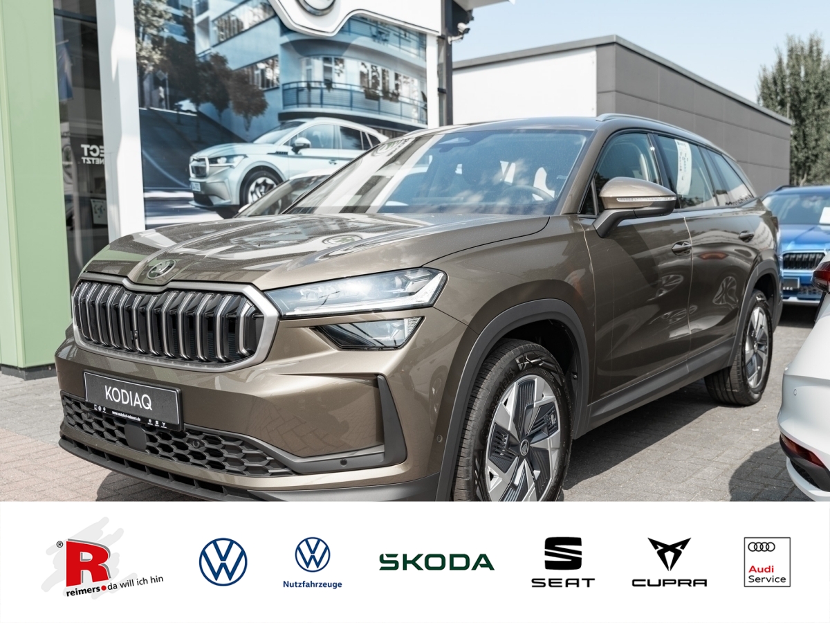 Škoda Kodiaq Selection 2.0 TDI DSG 4x4 ACC AHK SpurH