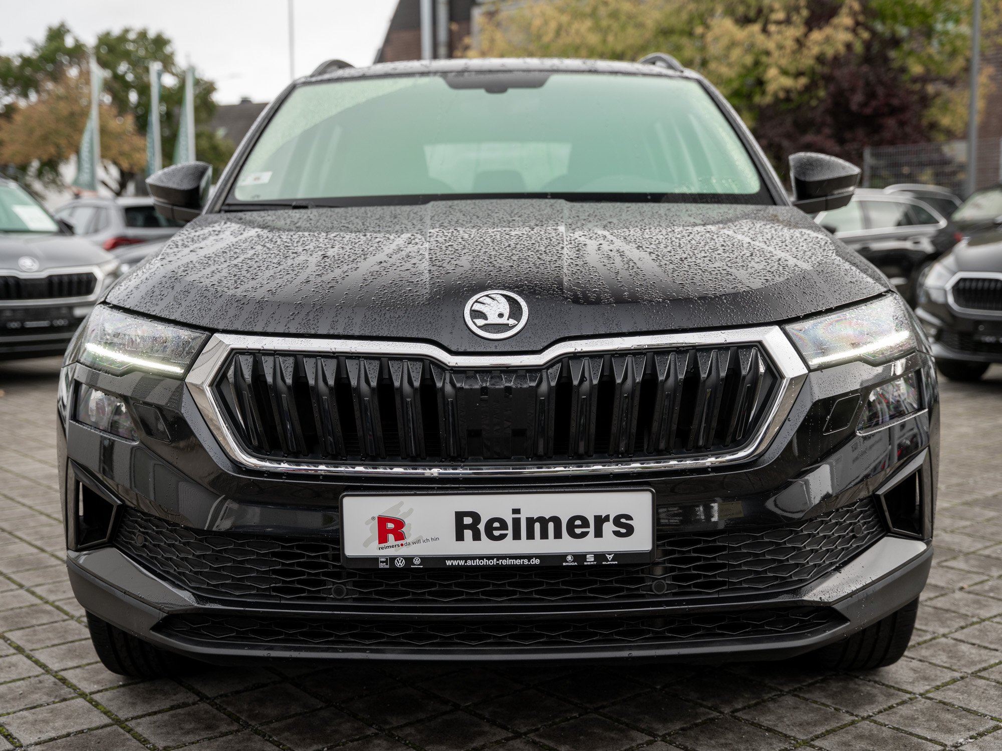 Fahrzeugbild_23