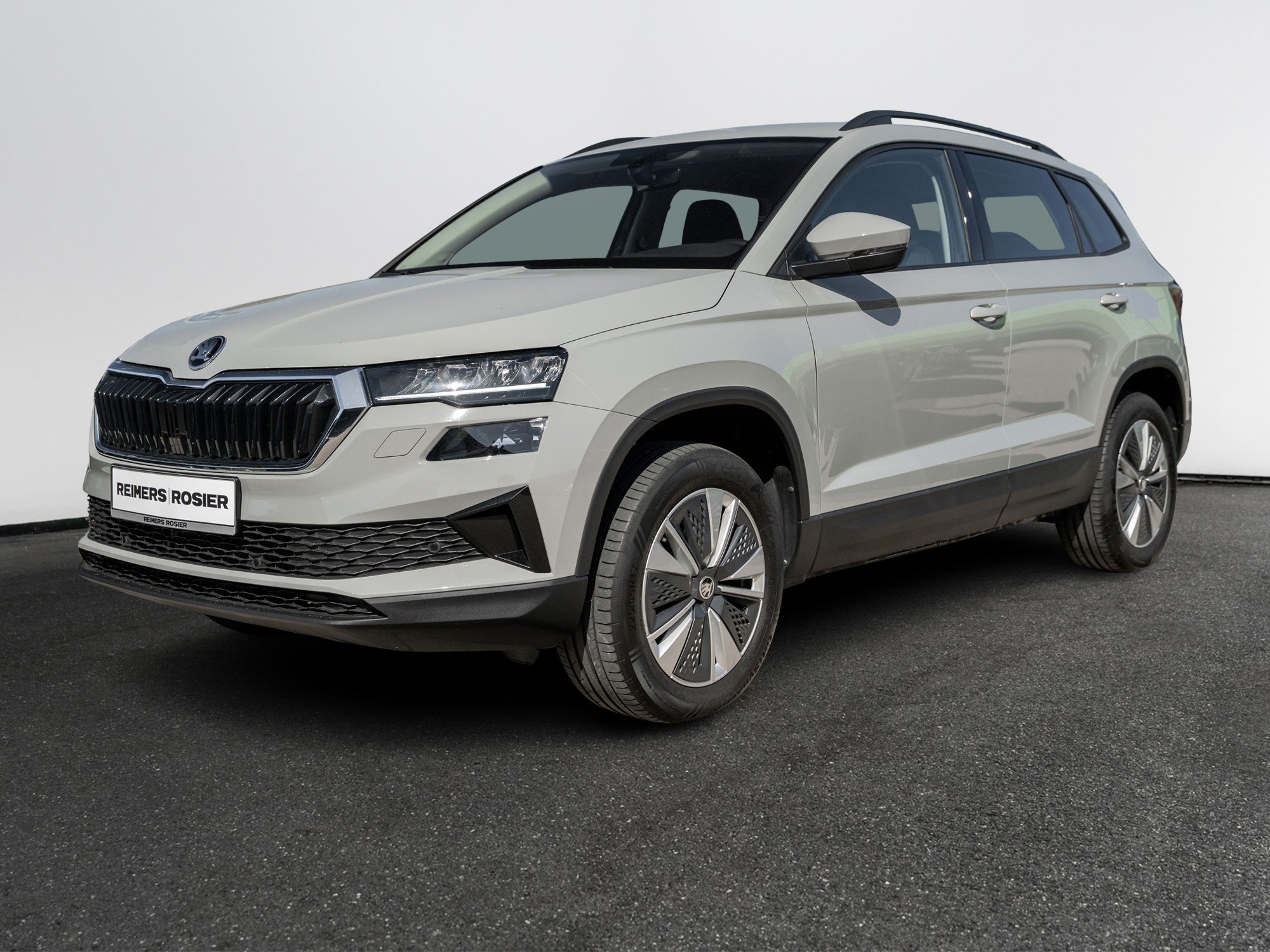 Skoda - KAROQ AMBITION 2.0 TDI DSG 4X4 Kam. Navi Virtual_12