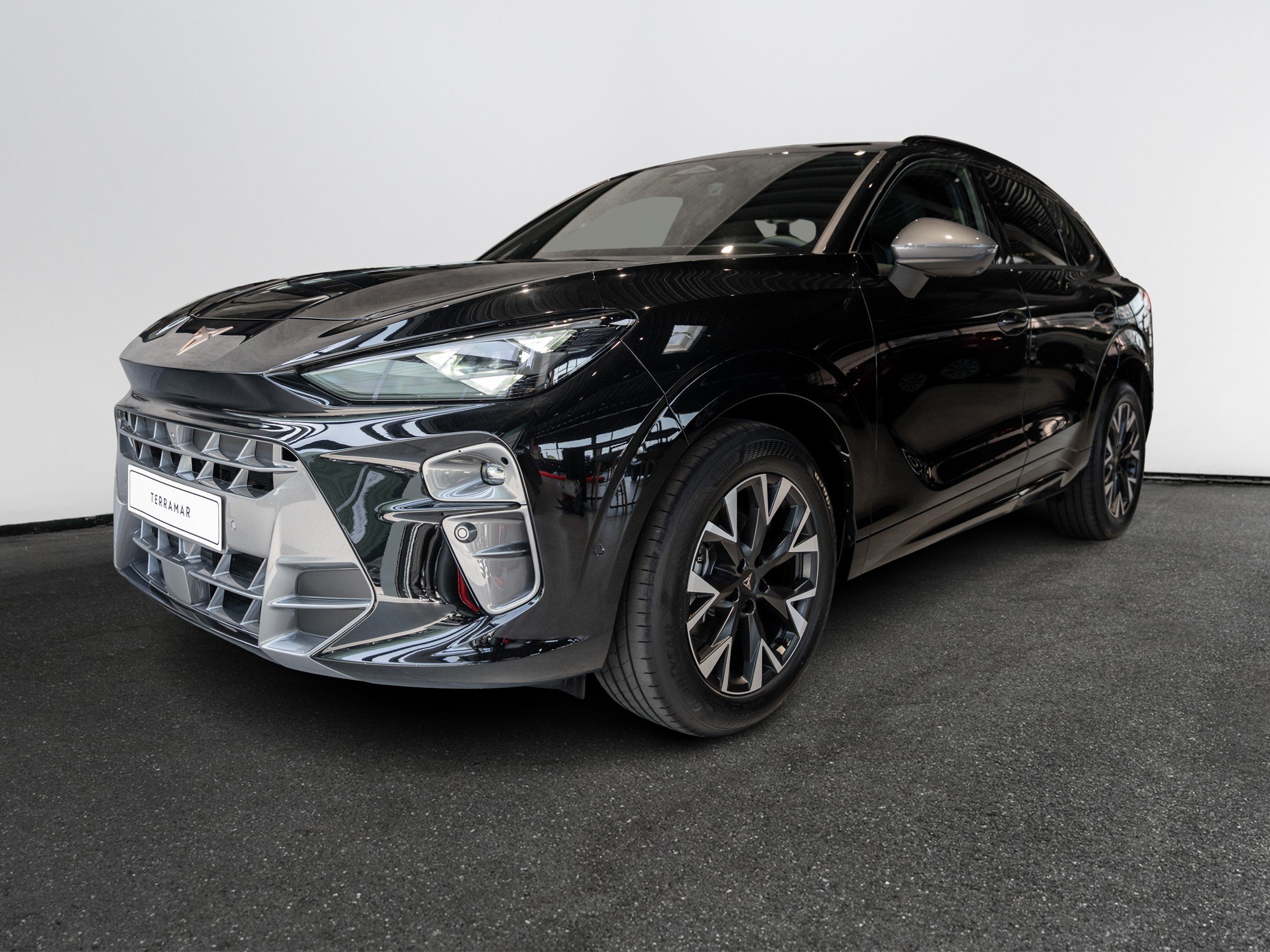 Cupra - Terramar 1.5 eTSI 7-Gang DSG Kam. Virtual LED LM_12