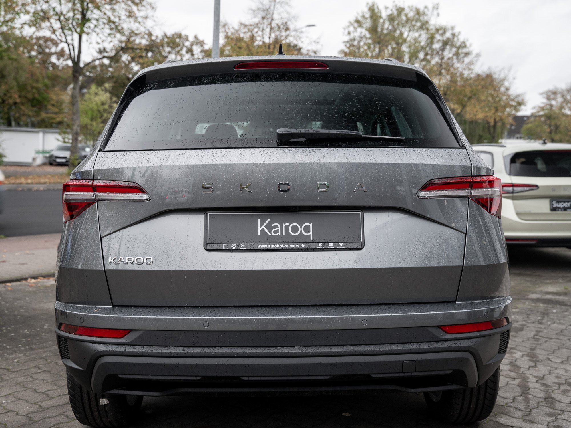 Skoda - Karoq Tour 2.0 TDI DSG ACC Pano SpurH LED AHK_26