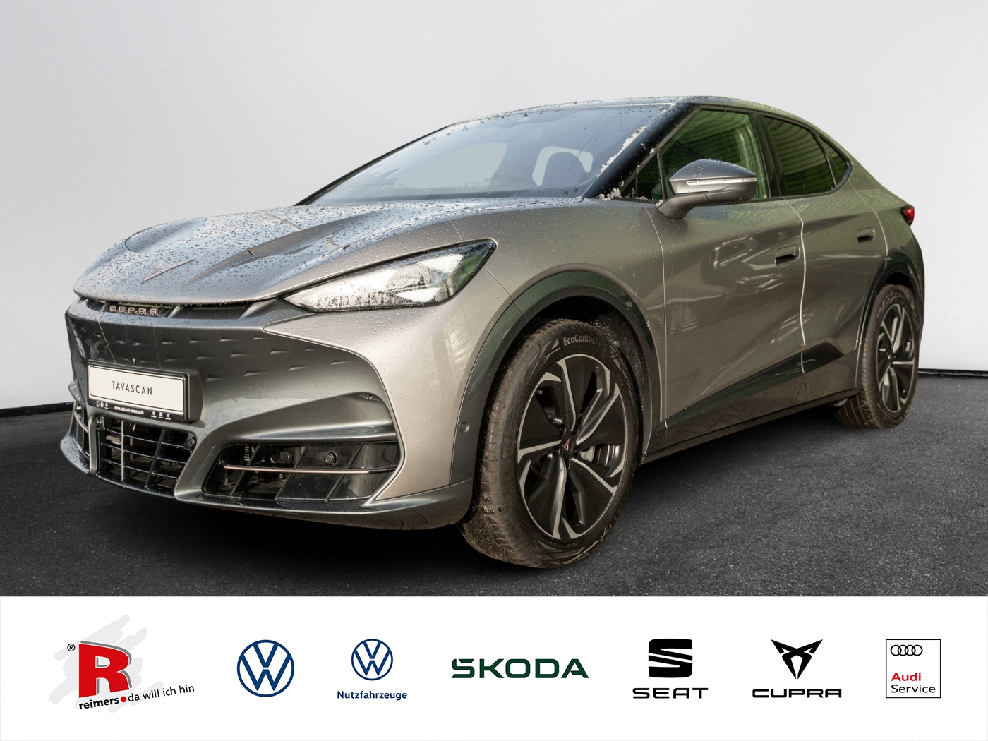 Cupra - Tavascan W Endurance Kam. Navi Sportp. Virtual_1