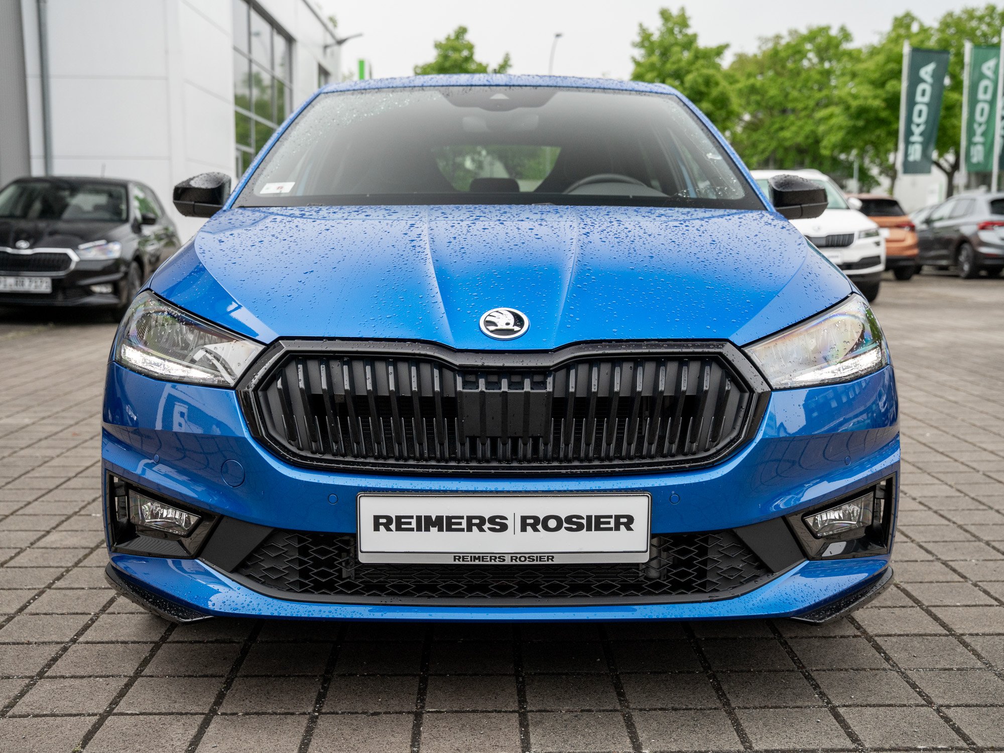 Fahrzeugbild_21