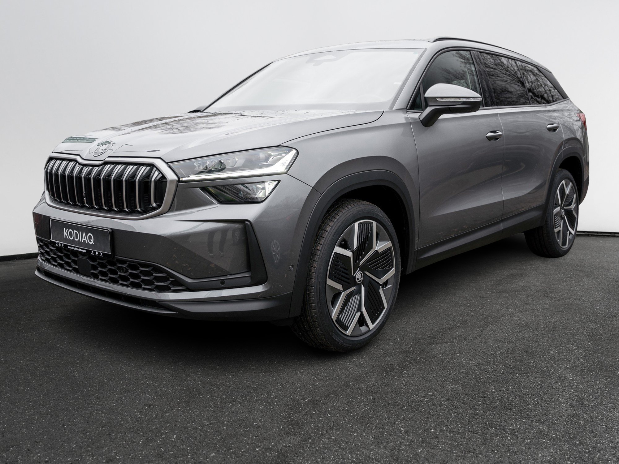 Skoda - Kodiaq Selection 2.0 TDI DCC AHK Leder Navi LM_12