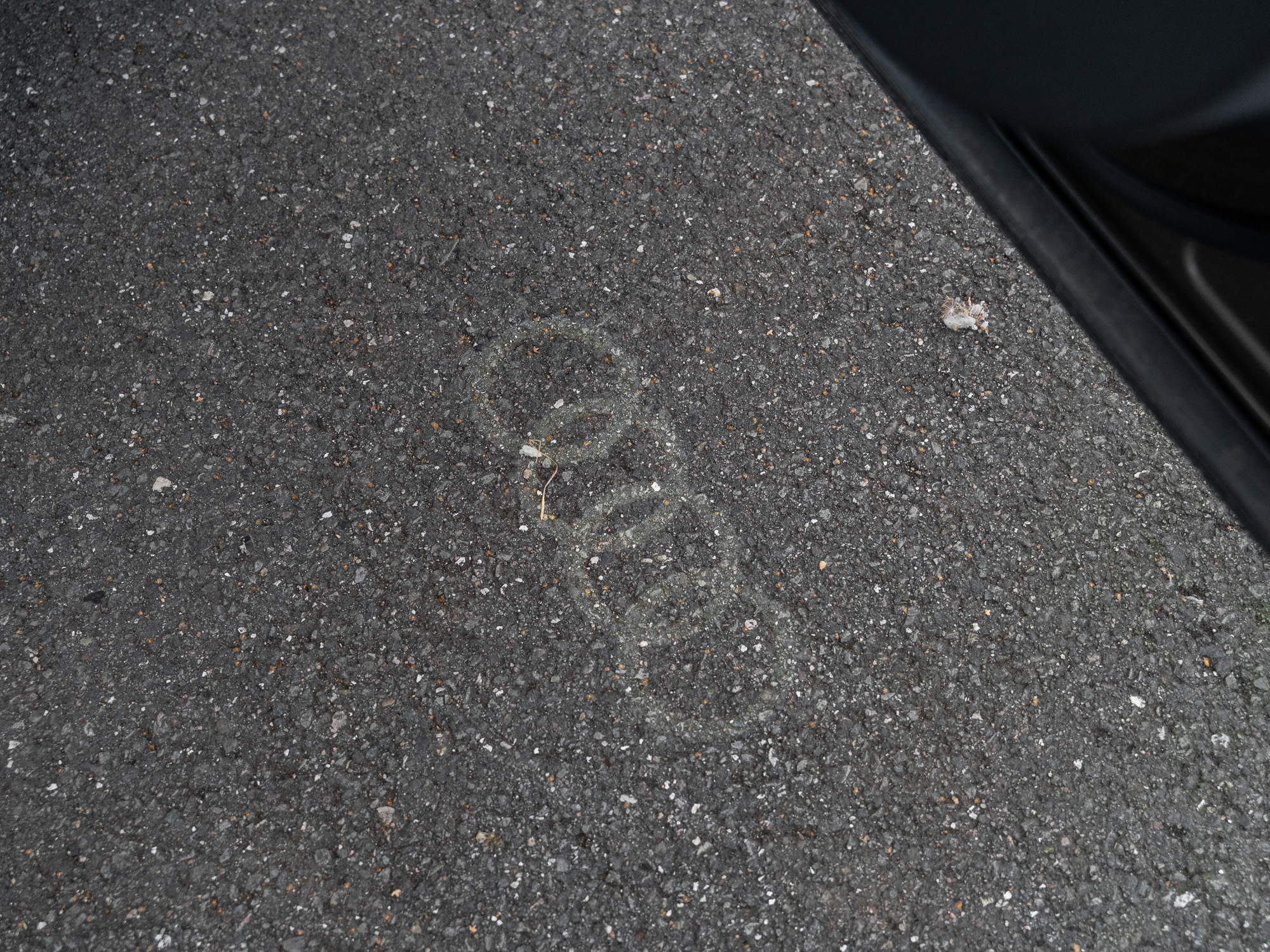 Fahrzeugbild_20