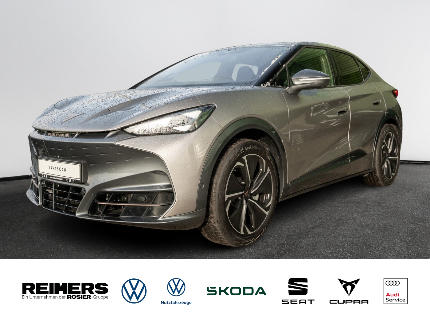Cupra - Tavascan W Endurance Kam. Navi Sportp. Virtual_1