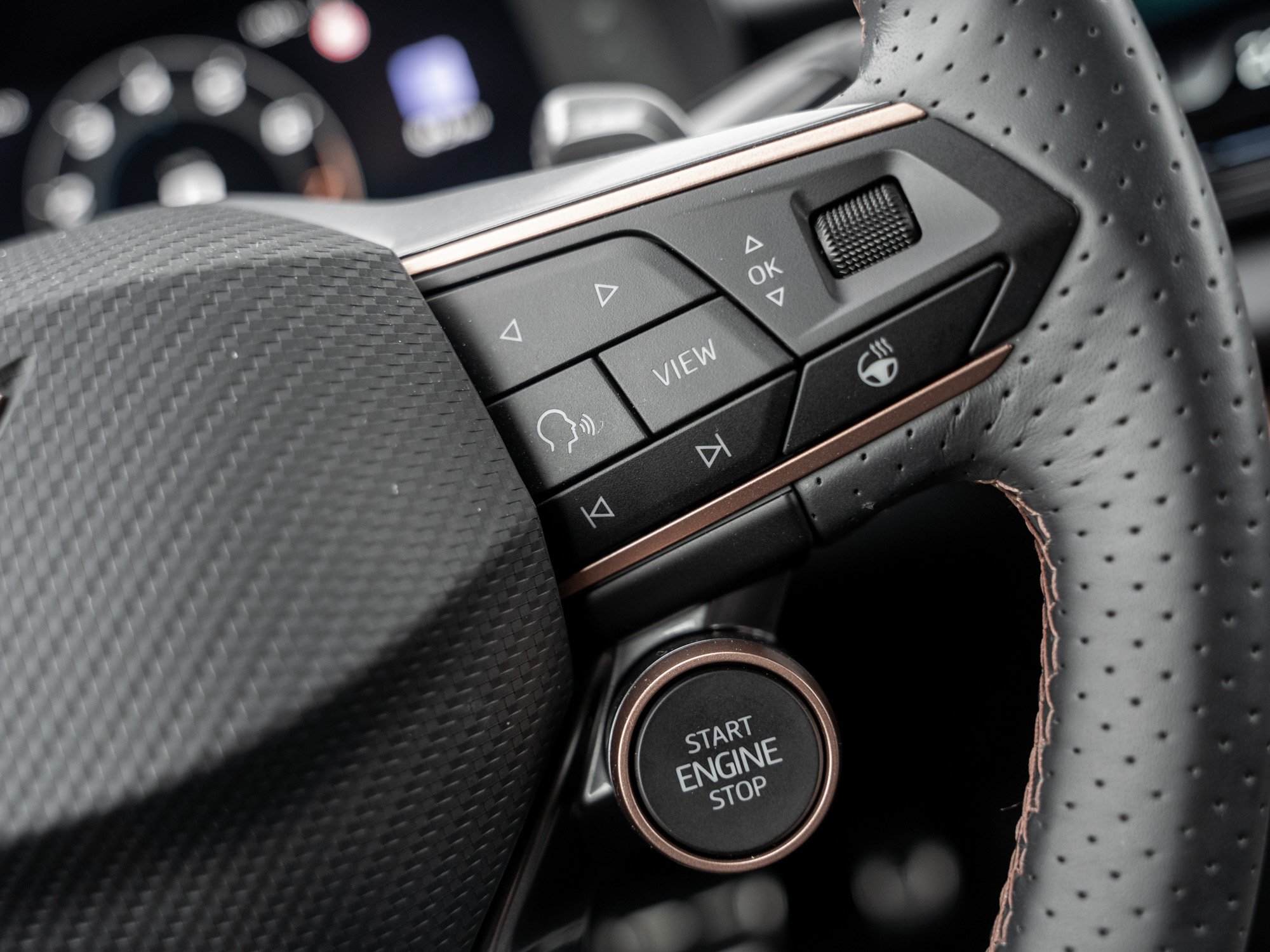 CUPRA - TERRAMAR 1.5 TSI eHYB DSG DCC Kam. Navi Virtual_17